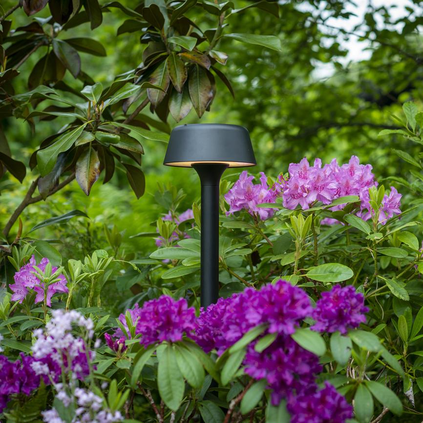 En sort havelampe står mellem blomstrende rododendron, omgivet af lilla og rosa blomster og frodigt grønt løv i en tæt, velplejet have.