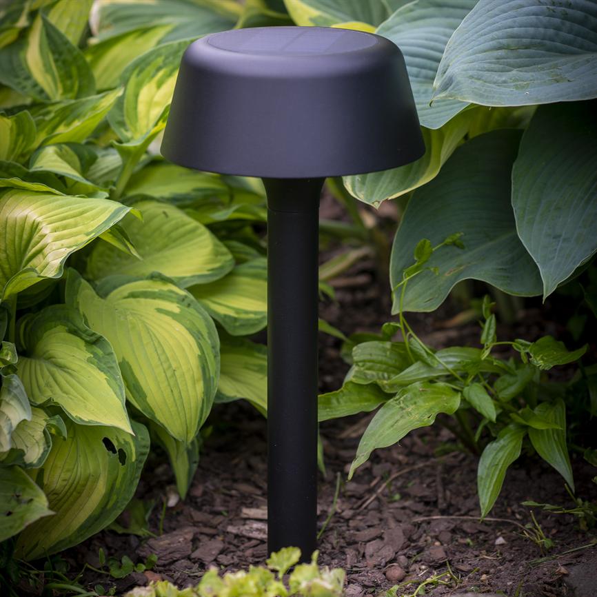 En sort havearmatur står som en kort pæl plantet i mulden; omgivet af store, grønne hosta-blade i et tæt havebed.
