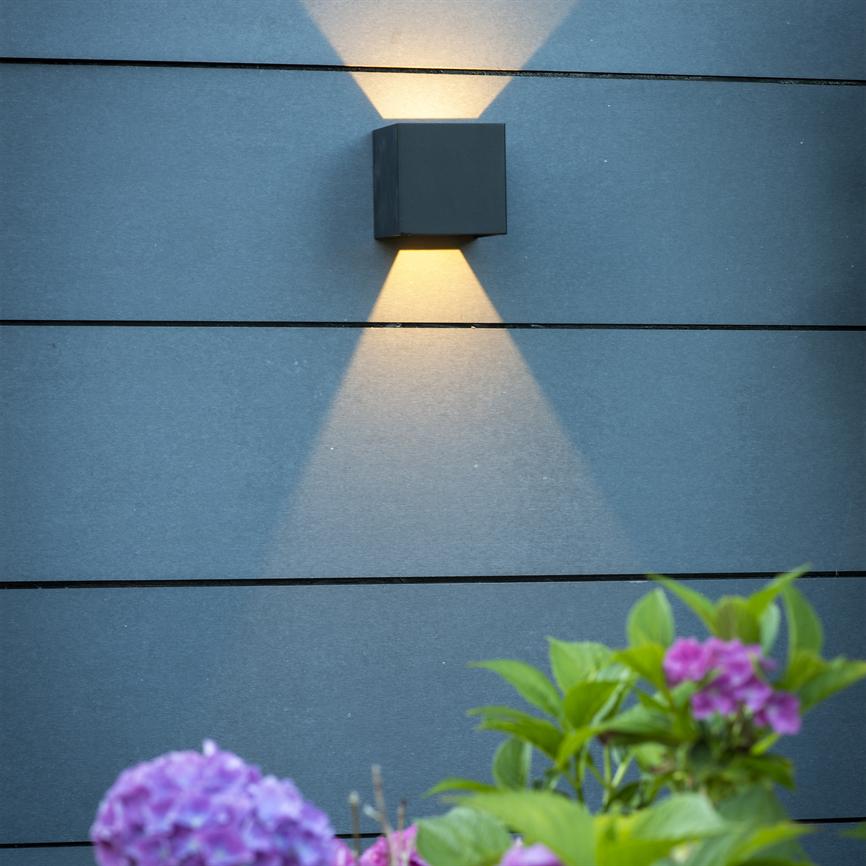 Kasseformet væglampe kaster kegleformet lys op og ned på en mørk væg med horisontale samlinger; lilla blomster og grønne blade ses i forgrunden.